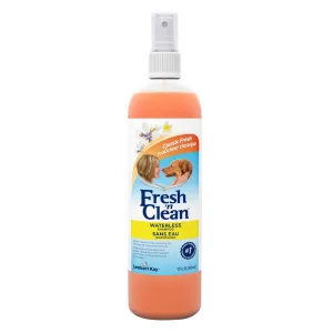 Fresh 'n Clean Waterless Shampoo, Classic Fresh Scent, 12 oz